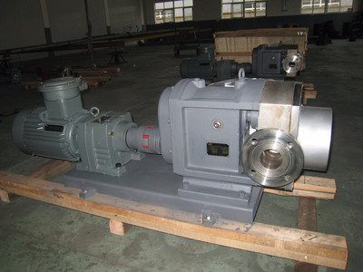 普利施65PLST6-10 日用化工轉子泵,甘油、化妝品料漿輸送泵 價格優惠歡迎咨詢圖片_高清圖_細節圖-江蘇普利施泵業 -